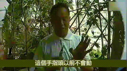 12.gif