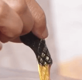 20220211_170955_004.gif
