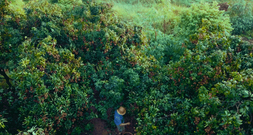 20220927_153522_014.gif