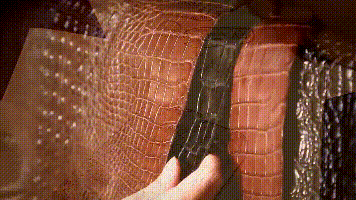 017.gif