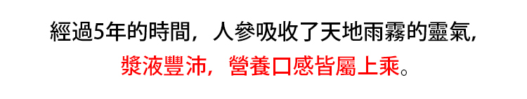 13.gif