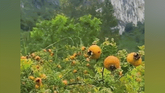 20231220_151528_045 (1).gif