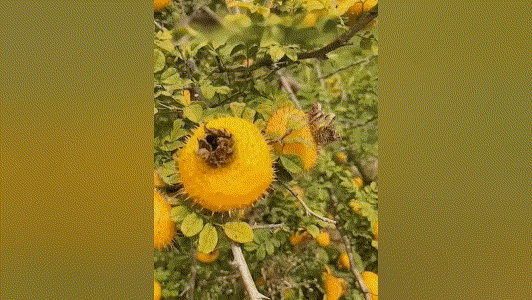 20231220_151528_041 (1).gif