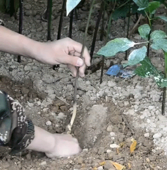12.新剪辑.gif