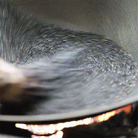 016.gif