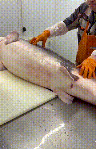 DM_20240118100812_026.gif