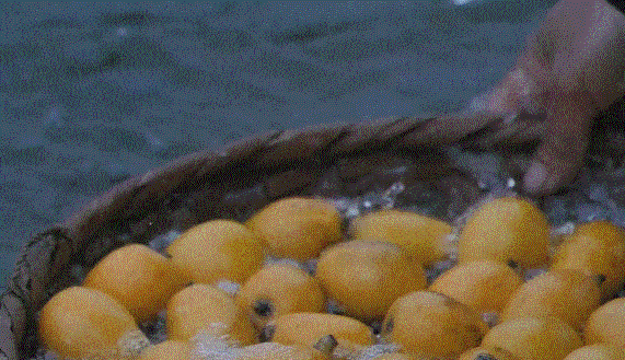 DM_20240304150558_029.gif