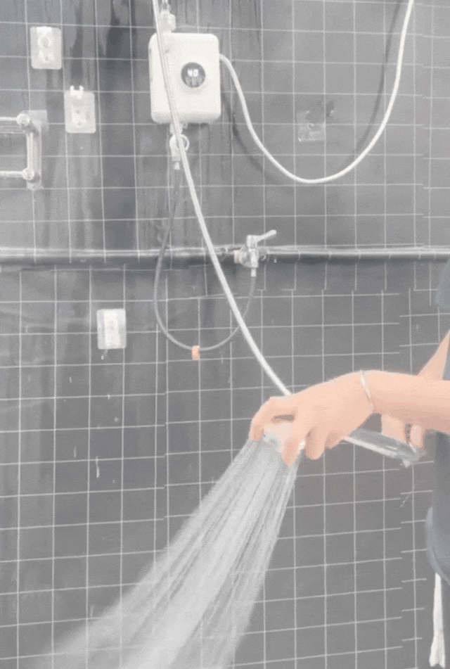 10016(1).gif