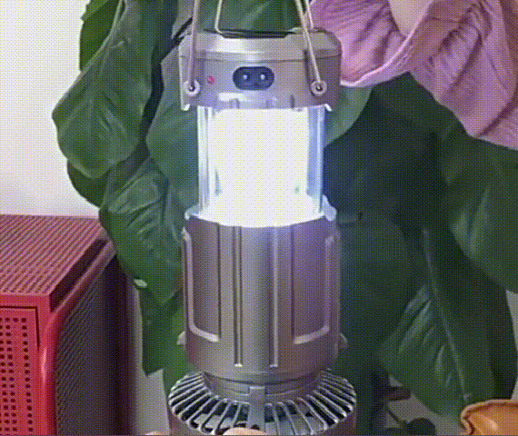 20220330_165648_021.gif