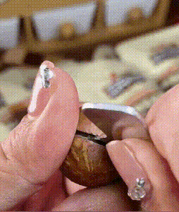 20230817_112212_014 (1).gif