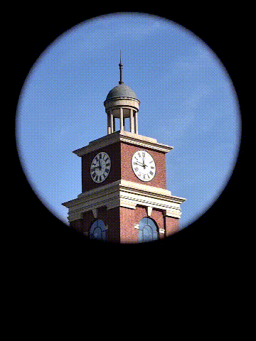 20230602_155153_008.gif