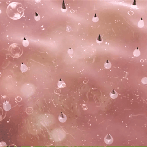 15.gif
