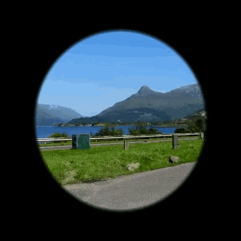 20230602_155153_004.gif
