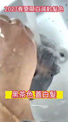 20230623_113935_013.gif