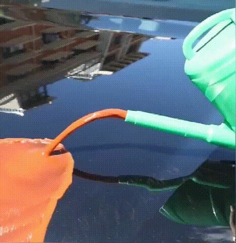 20230908_165041_008.gif/