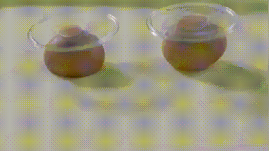 20230629_093340_012.gif