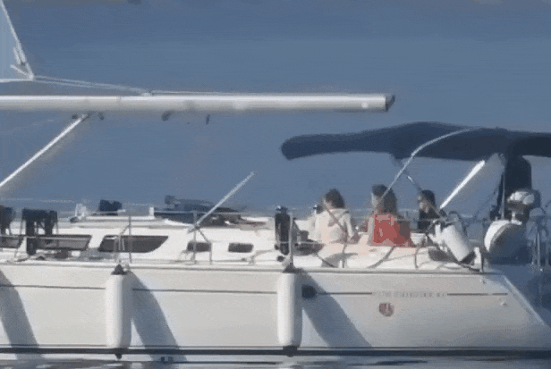 20230602_155153_015.gif