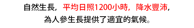 09.gif