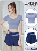 [Короткий набор] серое озеро синий+ароматный кит синий