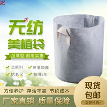  Non-woven Fabrics Cultivation Nursery Bags Garden Nutraceutical Bags Container Greening Thickened Miao Plant Species Tree Fruit Fry