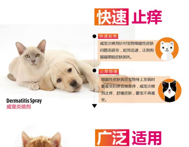 Mới xịt thuốc chữa bệnh da mèo và chó mèo - Cat / Dog Medical Supplies kim tiêm thuốc thú y	