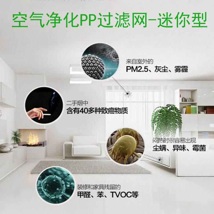空气净化器家用礼品卧室负离子pm2.5去除甲醛雾霾烟尘迷你P