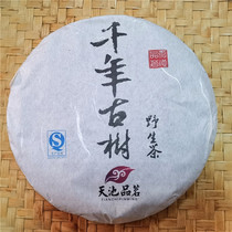 Thousand-year-old Ancient Tree Wild Tea Puer Tea Mountain Qi Yun Daxueshan Spring Tea Ancient Tree Tea 357g Cake Wild Tea