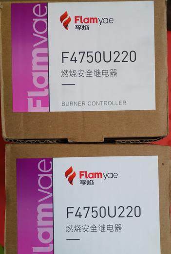 Flamyae combustion controller F4750U220 thanks to the clear cabin 