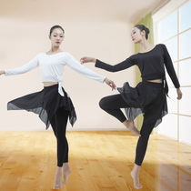 2018 autumn and winter new Latin dance suit female adult practice suit suit autumn long sleeve Latin dance training suit