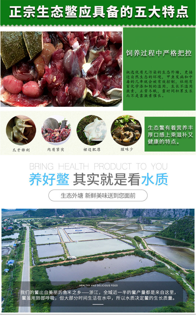 果味来 原生态野生外塘放养 鲜活甲鱼 1斤 图3