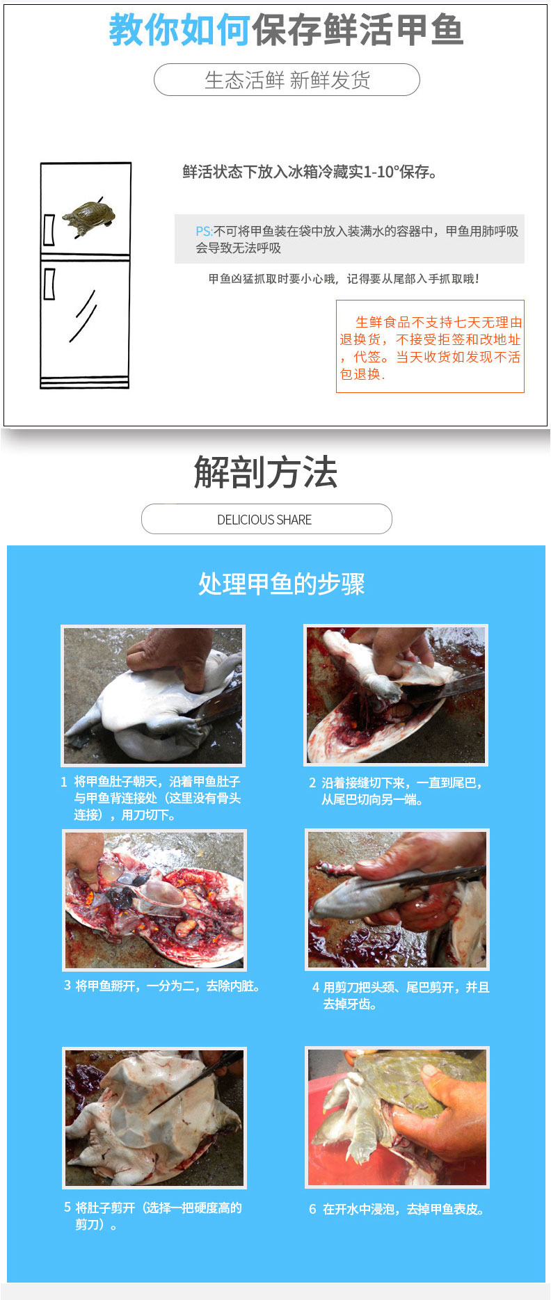果味来 原生态野生外塘放养 鲜活甲鱼 1斤 图7