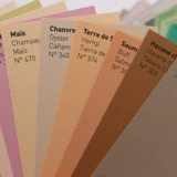Французская песня Kang Midan Color Powder 160 грамм порошкообразной бумаги.