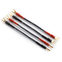 Taiwan MPS original single crystal copper gold-plated Y plug U-type power amplifier amplifier horn jumper audio Horn Bridge wiring