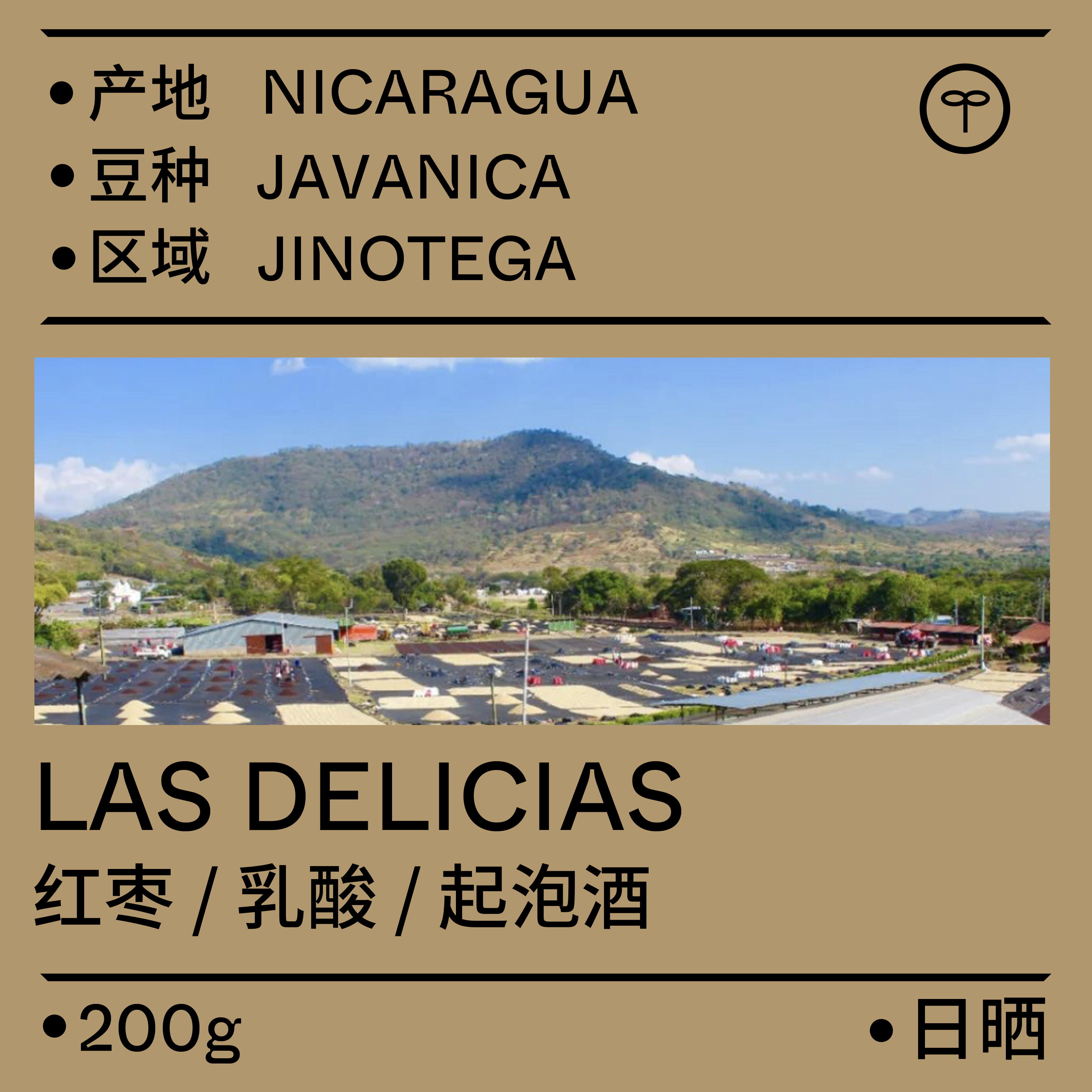 (Terraform) Lactic acid sparkling wine special variety javanica Nicaragua sun-dried coffee 200g