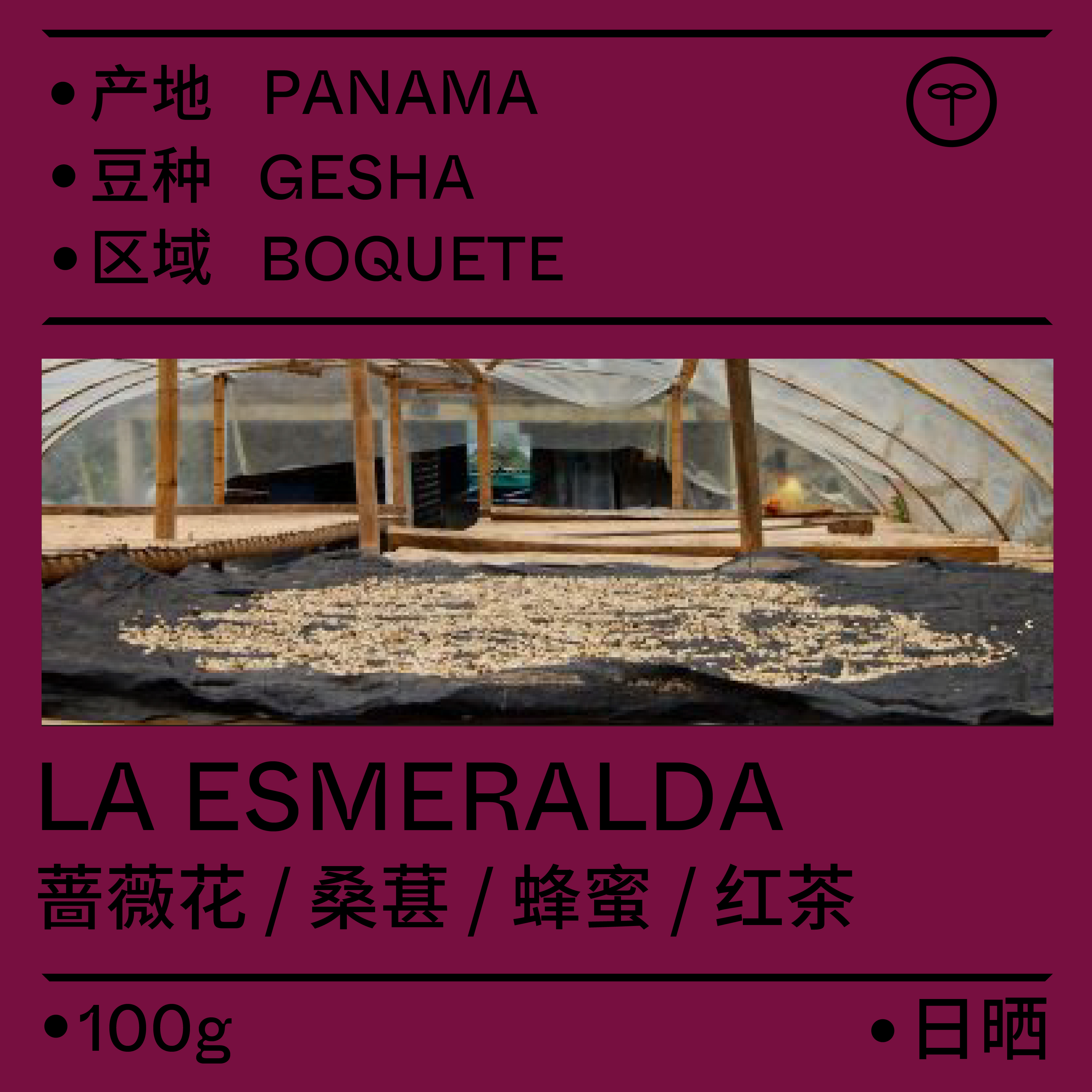 6 No. 15 Baking Special Sale Panama Emerald Green Label Sun-dried Geisha Coffee Beans 100g