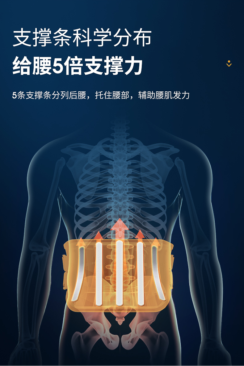 木顿 8项牵引支撑 医用级护腰带 3组支撑和护腰可替换 图9