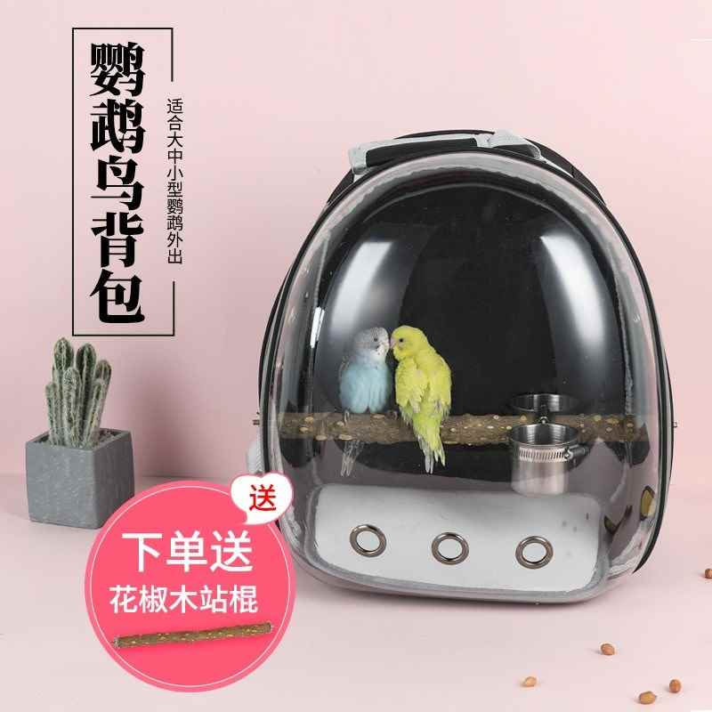 Vẹt siêu nhẹ ra ba lô / cung cấp vẹt / du lịch vẹt / đế chế vẹt lớn - Chim & Chăm sóc chim Supplies 	cám cho chim khướu	