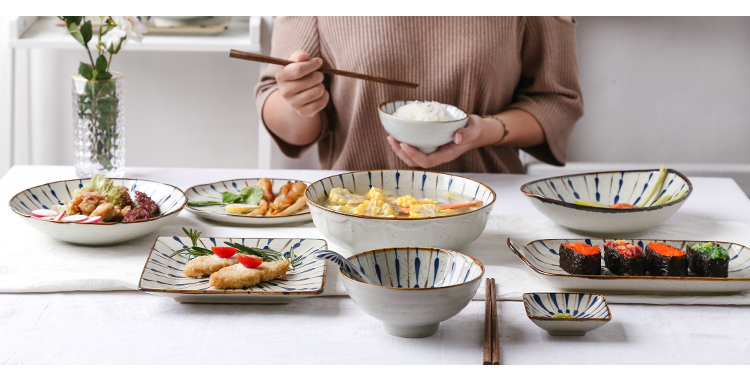 Japanese new wind restoring ancient ways under the glaze color petard ceramic tableware household bowls plates rice bowls rainbow such as bowl bowl suit