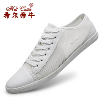 Deodorant Breathable Mesh surface Shoe Hollow Mesh Shoes Summer 100 Hitch Small White Shoes Genuine Leather Casual Shoes Board Shoes Man Flat flat