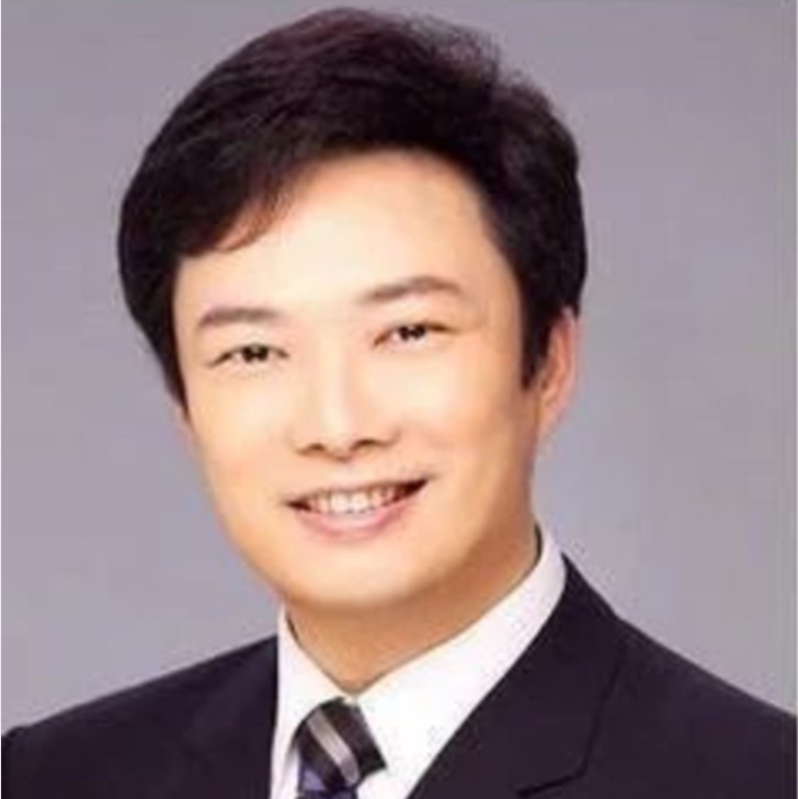 Middle-Aged Men's Short Straight Hair Wig, Men's Wig with a Large Slicked-Back Hairstyle, Middle-Aged and Elderly Wig, Free Shipping, Real Human Hair for Men