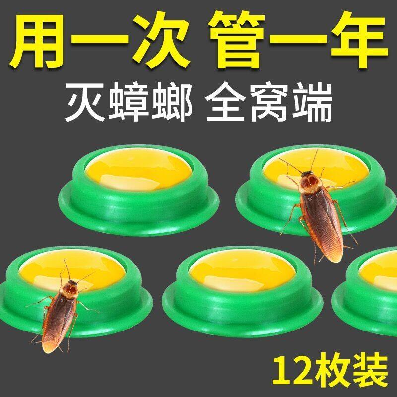 Cockroach medicine home size through a nest end of the indoor kitchen to kill cockroach buster artifact powerful non-toxic cockroach house