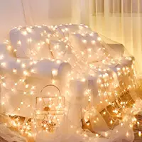 Star Lights Интернет -знаменитость оформление света