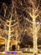 LED kleine bunte Lichter, blinkende Lichterkette voller Sterne, Dekoration, Baumlichter, Sternlichter, Weihnachtsdekoration, für den Außenbereich, wasserdicht, kleine Lichterkette