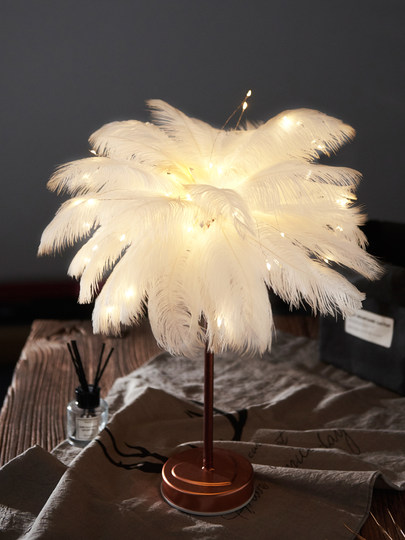 Internet celebrity ins feather decorative lamp creative room lantern bedroom night light layout girl heart birthday gift