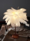Internet celebrity ins feather decorative lamp creative room lantern bedroom night light layout girl heart birthday gift