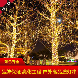 Led Small Colorful Lights Flashing String Lights Starry Sky Decorative Tree Lights Star Lights Christmas Decoration Outdoor Waterproof Small String Lights