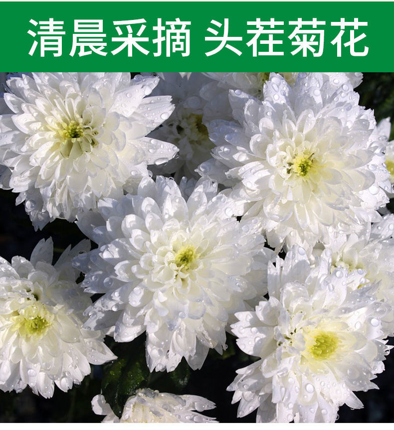 菊花茶清热去火新花野胎菊花红枣决明子玫瑰