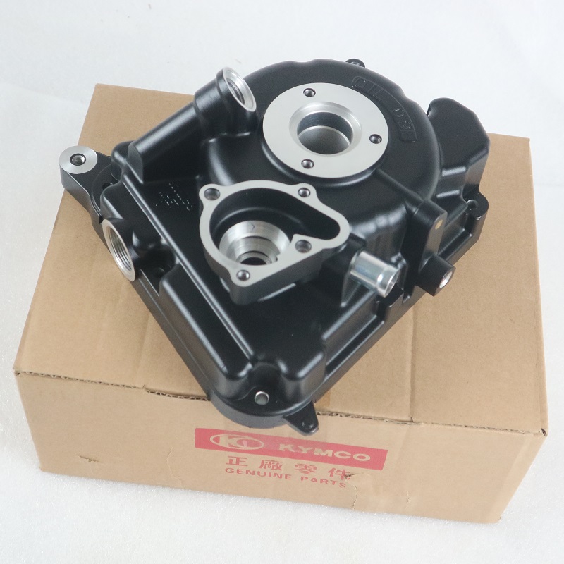 Gwangyang Rowing 250 300 ABS original right crankcase cover magneto cover