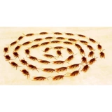 Ужас 老 Мыши Скорпион Страшная бит программное обеспечение поддельные игрушки -пауки игрушки поддельные тараканы