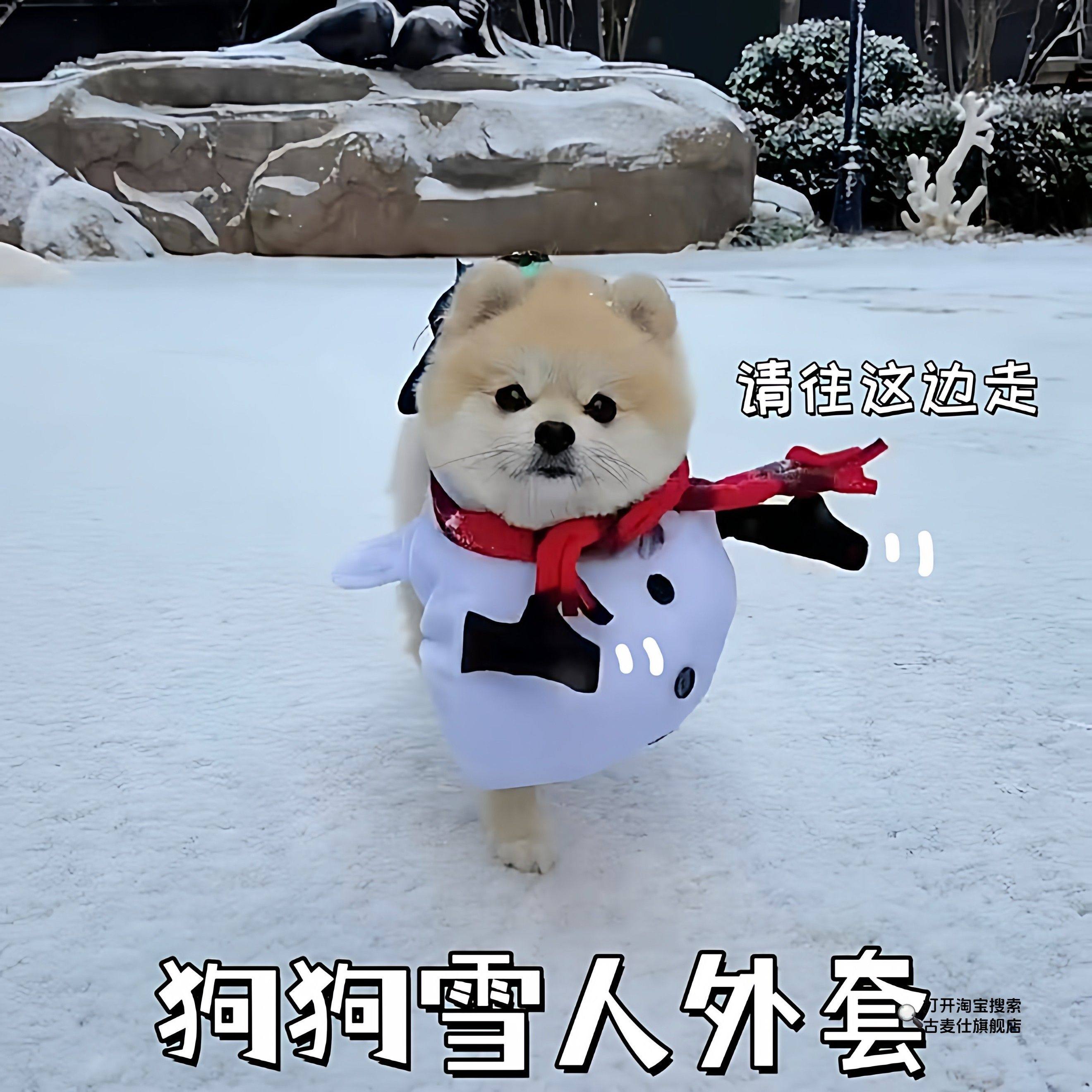 [Winter Dog Coat]Puppy Snowman Coat Little Reindeer Outfit Small Dog Outdoor Cute Warm Decoration